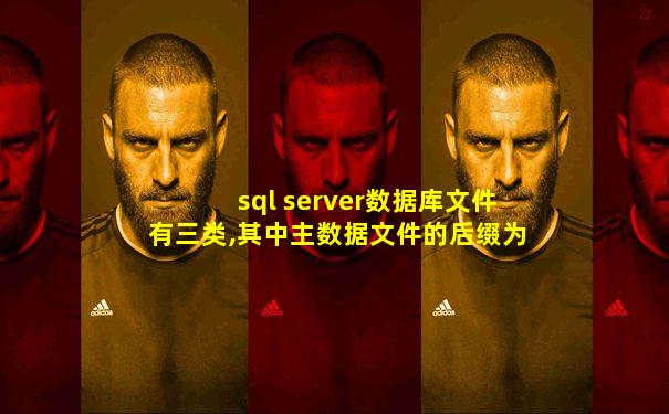 sql server数据库文件有三类,其中主数据文件的后缀为